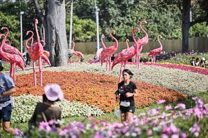 BIB: 
                            <button type="button" onclick="openModal(27793771)" class="btn btn-primary btn-sm float-right btn-popup" data-toggle="modal" data-target=".modal-high-quality">
                        <i class="fas fa-shopping-cart"></i> Add to Cart
                    </button>
                                            <button type="button" onclick="isThisMe(27793771, true)" class="btn btn-success btn-sm float-right btn-popup btn-isme hidden" data-toggle="tooltip" data-placement="bottom" title="นี่คือรูปของคุณใช่ไหม คลิกที่นี่เพื่อเอาเข้าอัลบั้ม">
                        <i class="fas fa-plus"></i> Add to album
                    </button>
                    <button type="button" onclick="isThisMe(27793771, false)" class="btn btn-warning btn-sm float-right btn-popup btn-isnotme hidden">
                        <i class="fas fa-ban"></i> Remove from album
                    </button>